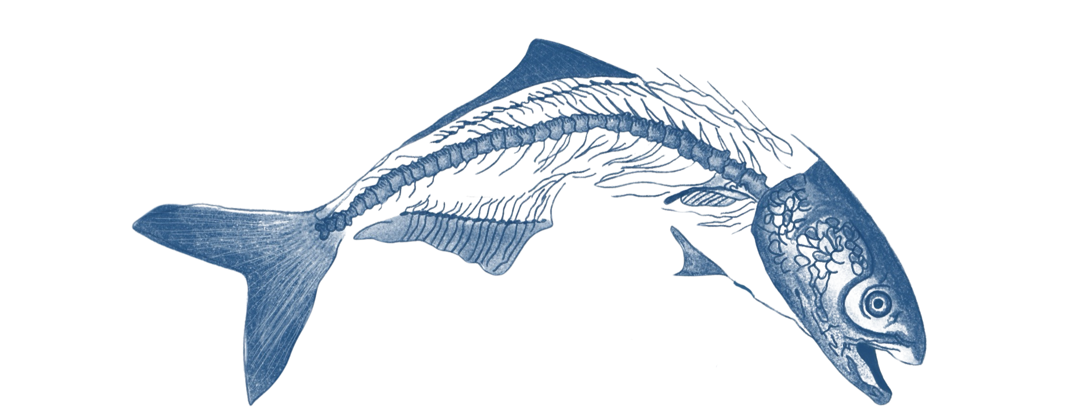 good bones preservation